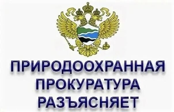 Дербентская межрайонная природоохранная прокуратура разъясняет изменения, внесенные в Лесной кодекс Российской Федерации.
